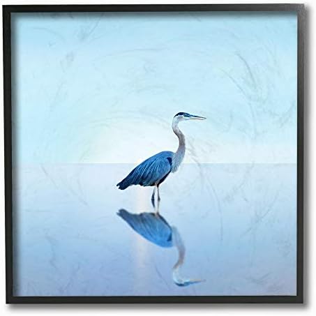 Stupell Industries Beach Heron Okyanus Kuşu Hayvan Fotoğrafı, Tasarım James Mcloughlin Duvar Sanatı, 36 x 36, Tuval