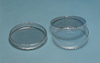 BD Falcon Tek Kullanımlık Petri Kapları, Steril, BD Biosciences 351008