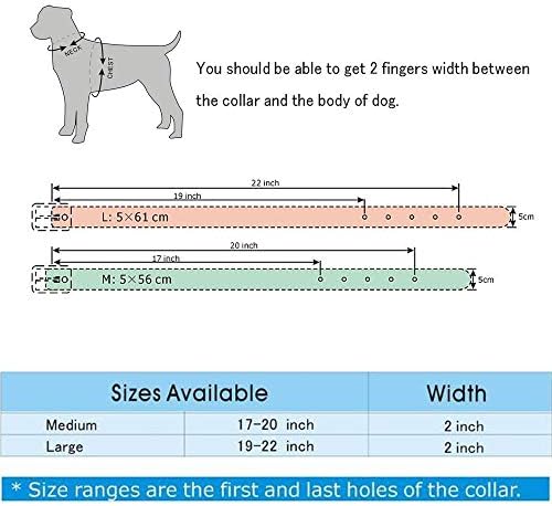 Pimaodog Çivili köpek tasması, Deri köpek tasması Orta Büyük Köpekler için Pitbull Doberman (L:19-22 inç, Siyah)