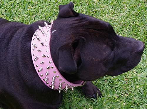 Çivili Perçinler köpek tasması PU Deri Ayarlanabilir Çivili Orta Büyük Köpekler için Ağır Tasmalar sıcak Pembe